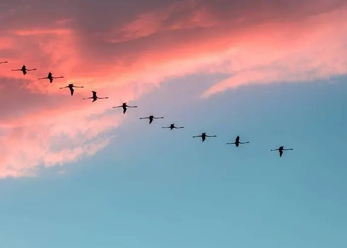 Capricorno Bestvacationever Ferienhaus Torre delle Stelle